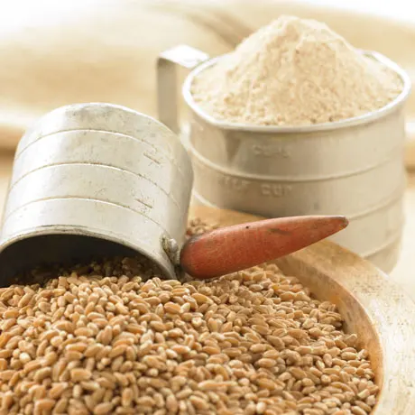 Высший сорт платье наивысшего качества белое пшеницы выпечки ржаного муки jaqsy высокий поток клейковины количественная производитель