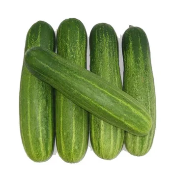 
Natural cucumber 