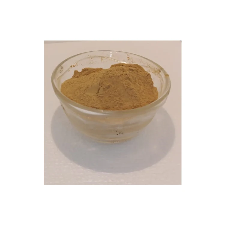Exceptional Quality Top Selling High Purity Natural Artichoke Leaf Extract Powder for Genuine Bulk Purchasers