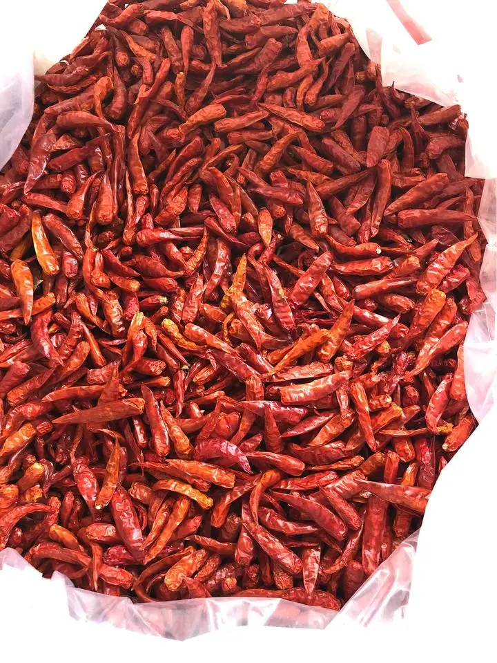 
Supplying frozen red chili whole from Vietnam with best price_Vikafoods (+84983028718). 
