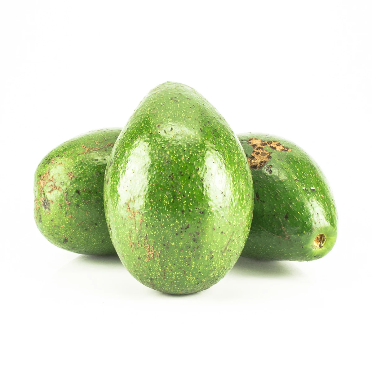 
FRESH DAKLAK AVOCADO VIETNAM ORIGIN 