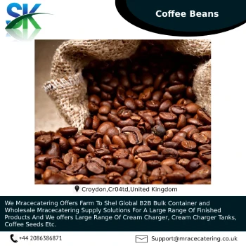 Origin high 100% Best quality palm Coffee Seeds