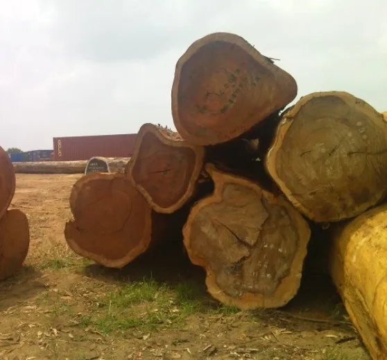 Деревянные тропические бревна IROKO