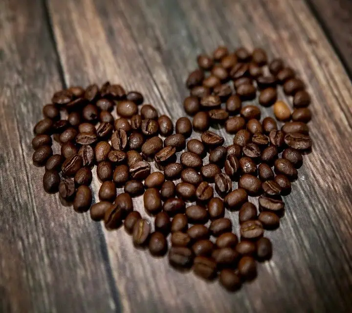 
Made in Italy 250g Lavazza Coffee Qualita ORO 100% ground arabica italian coffee Italia 