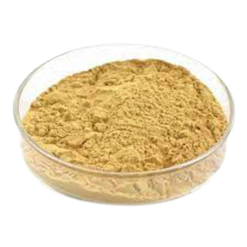 High-Quality Bulk Dry Food Grade Yeast Extract Powder for Sale
