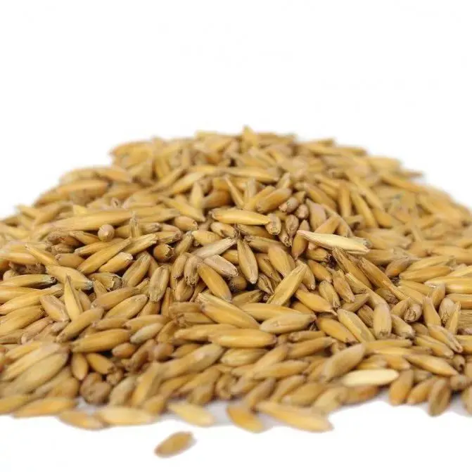 
Organic oats wholesale 