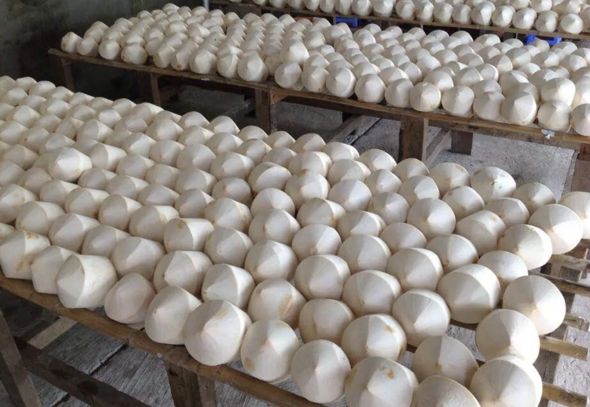 Высококачественный сладкий кокос Премиум свежий для оптовой продажи верхняя крышка/Алмазная резка/круглая форма вьетнамский