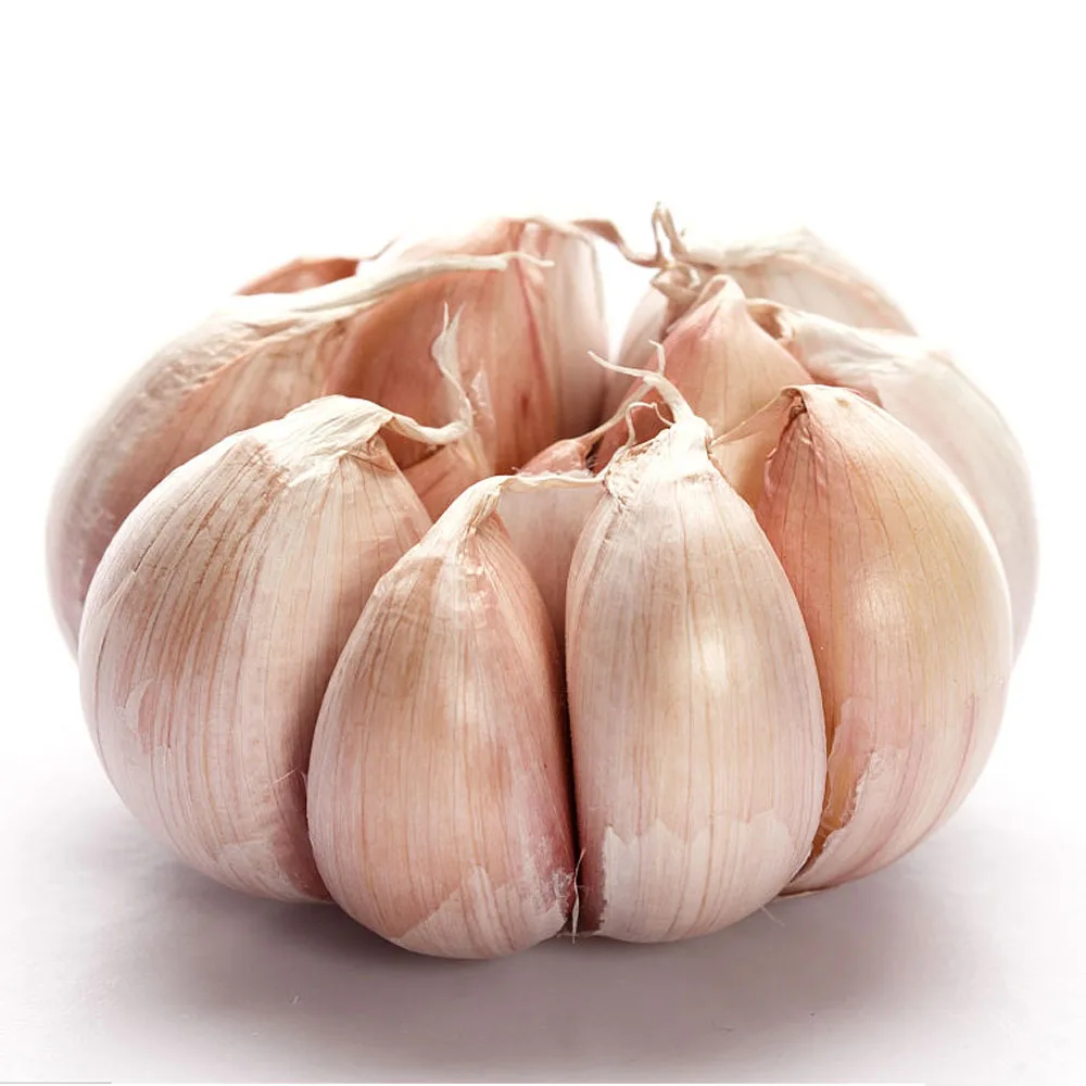Low Price Fresh Garlic White Garlic Normal White Garlic