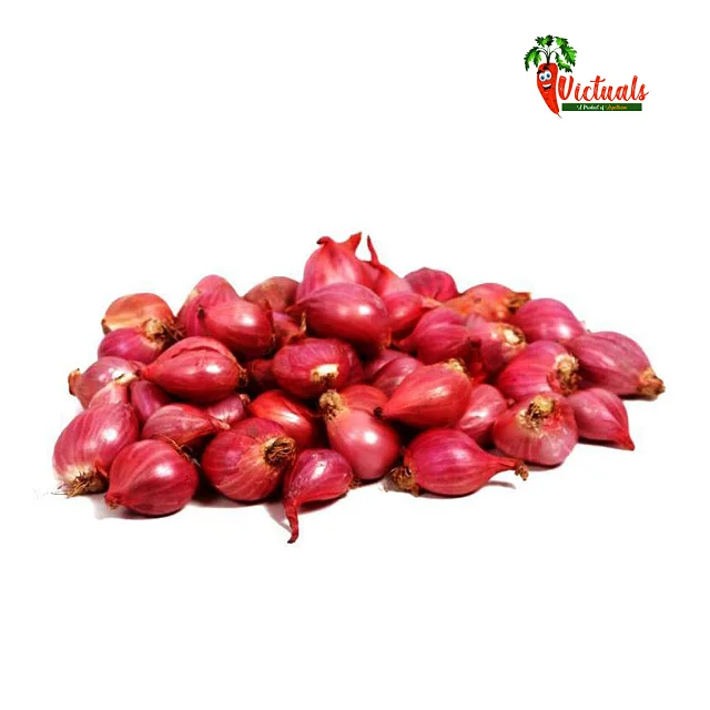 Small Shallot Onion - Exclusive Sale For special Season