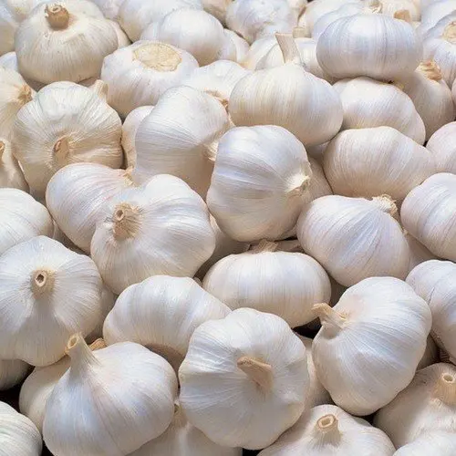 Top High Quality Fresh Garlic White OEM Head Style Time Weight Normal Hours Origin Type Year New Crop From Vietnam