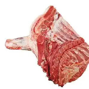 
Frozen Forequreter Buffalo Halal meat 