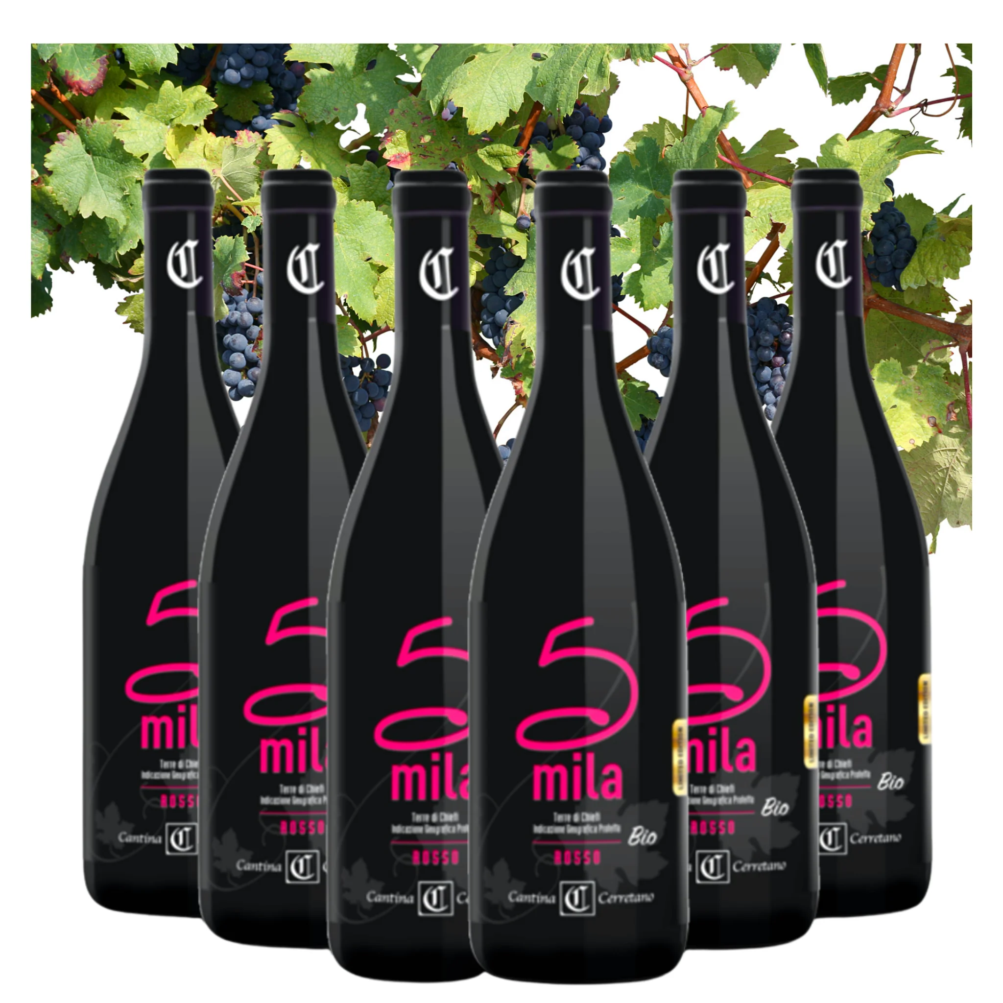 Dropship Italian Red Wine - Montepulciano Terre di Chieti Organic Vegan - Wine bottles 750 ml - Alcohol wine 14% for Sale