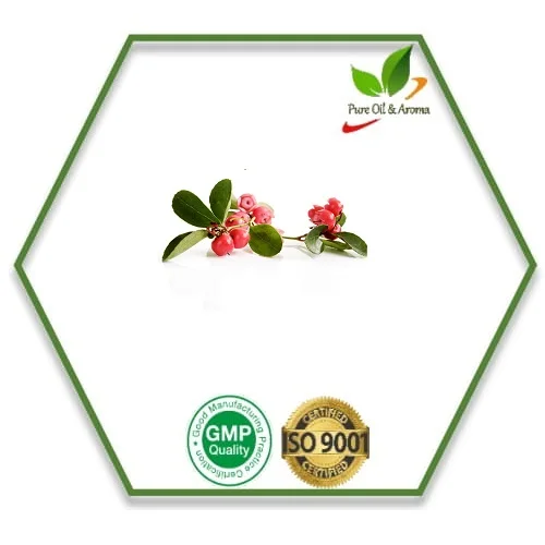 Manufacturer supply organic wintergreen essential oil with best price