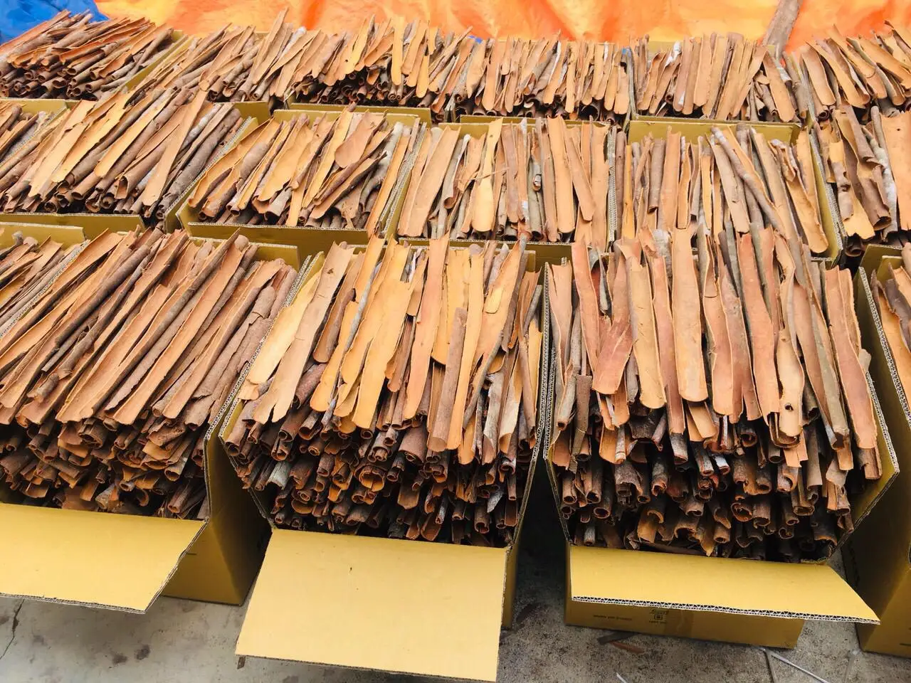 Разделение корицы/Разделение кассии с высоким содержанием масла во Вьетнаме-Doris Agrikim :+ 84 352542206