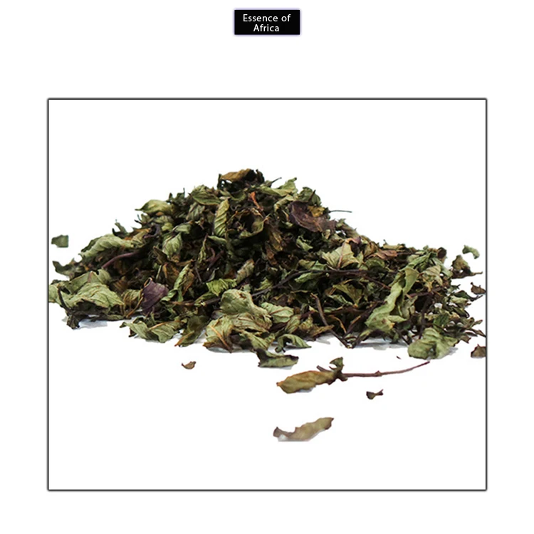 Genuine Supplier of Fresh and Organic Dried Holy Basil (Tulsi) Leaves at Low Market Price