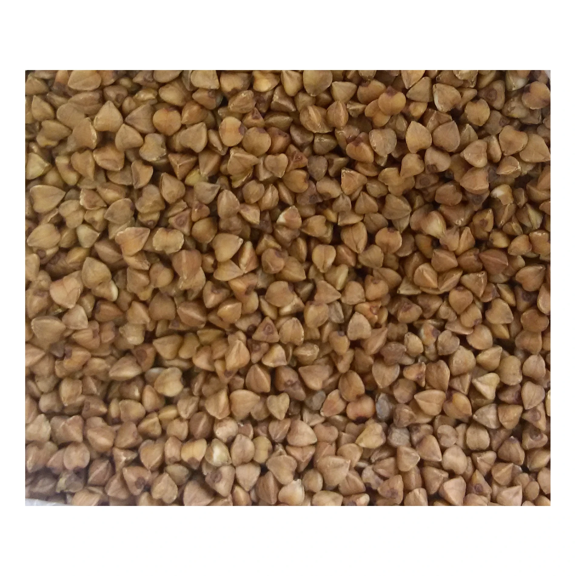 Hulled roasted buckwheat grain in bulk from Russia