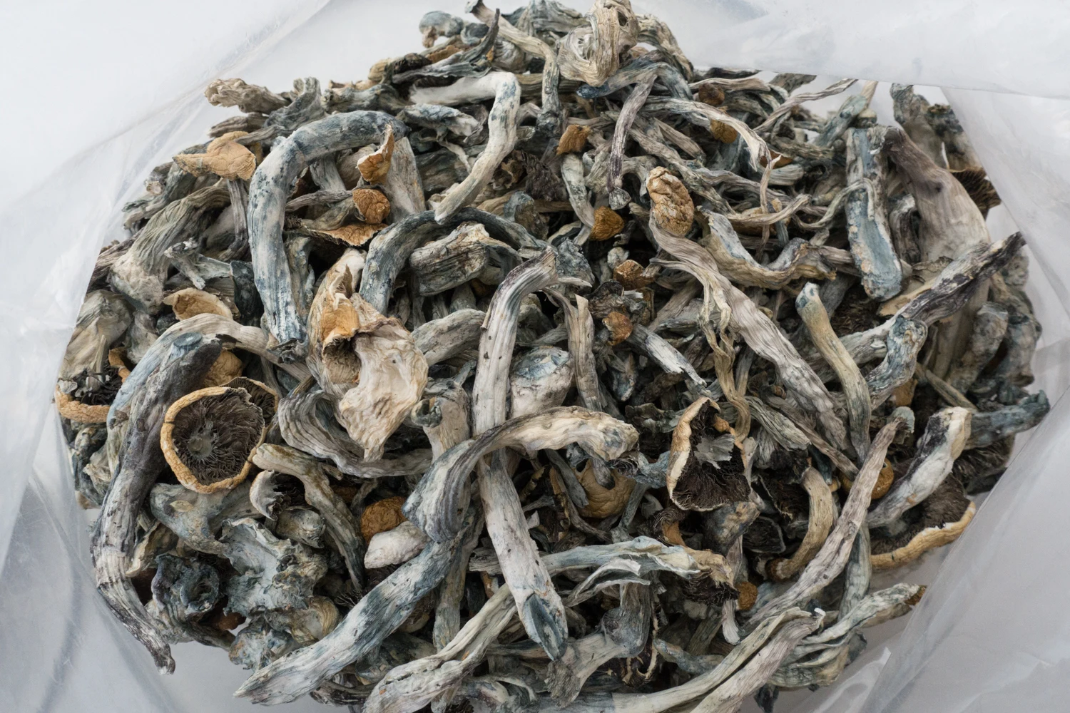 Magic Mushrooms Price Dried Black Morel Mushroom