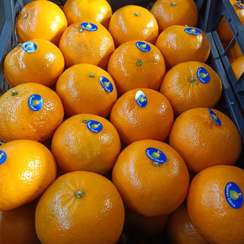 2022 Pakistani fresh mandarin Kinnow orange