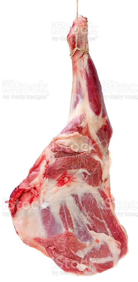 Premium quality 10 month old lamb carcass Turkish karaman sheep with halal slaughter export quality