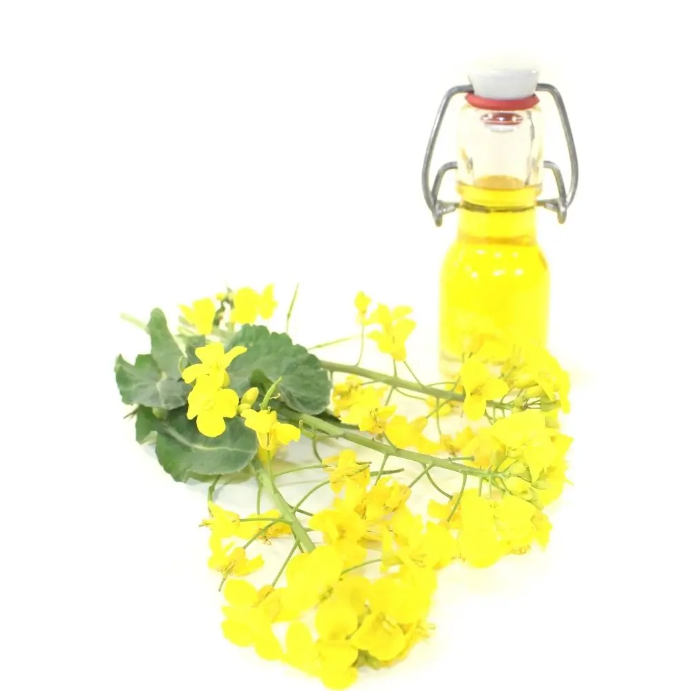 Wholesale cheap price 100% Pure Refined Canola Oil 100% Pure Refined Rapeseed Oil
