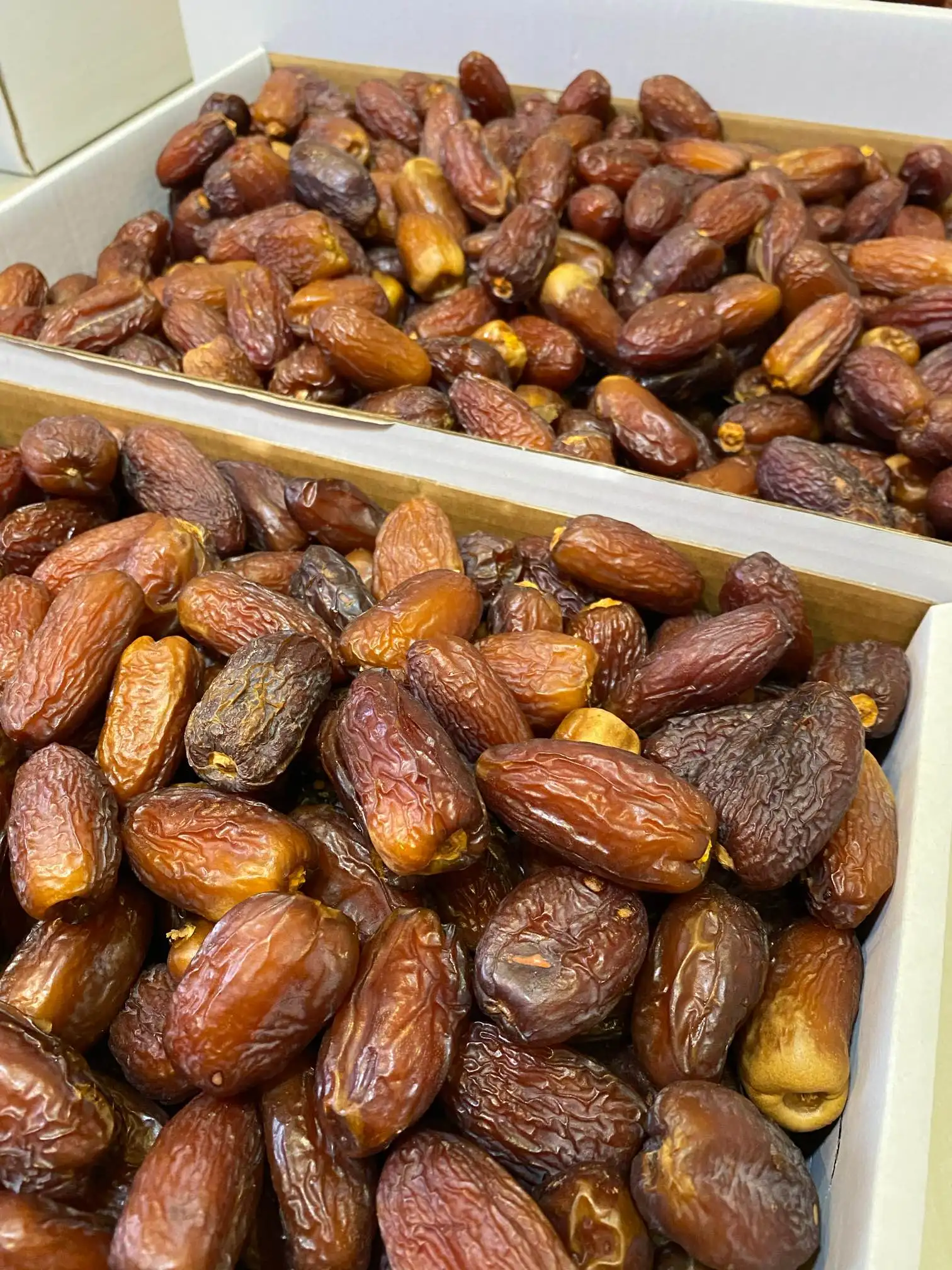 
Mejdool Dates 24 Ton (Large) Wholesale price 