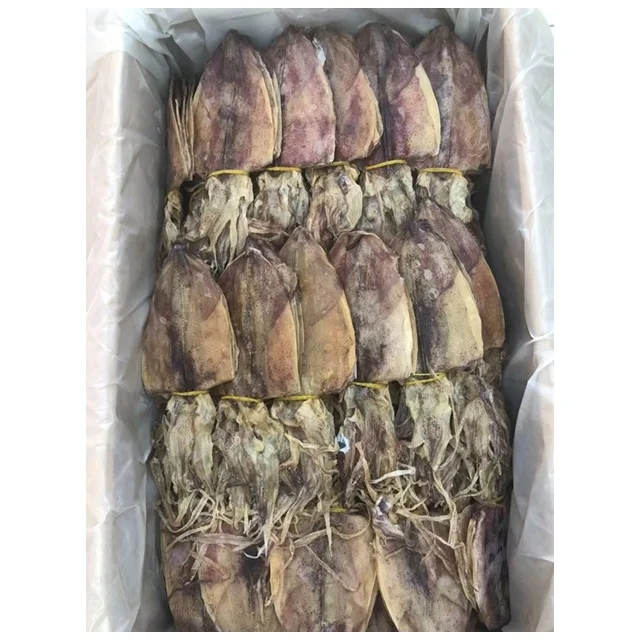 Dried Squid Dried Cuttlefish Squid  Dried Fish Dried Lizard Fish Dried Smoked Strip Catfish Dried Anchovy Fish