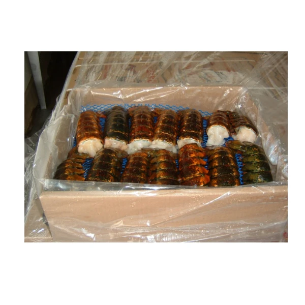 Wholesale Price of Natural Frozen Lobster Live Lobster and Frozen Lobster Tail
