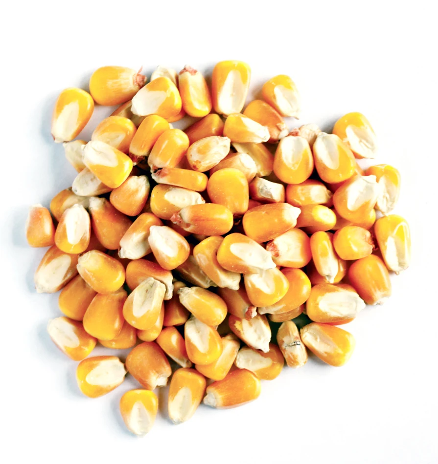 
Soybean Meal , Bone Meal & Fish Meal, Yellow Corn 