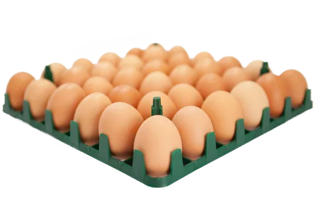 Edible Chicken Fresh Brown/ White Eggs