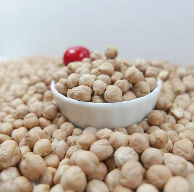 Kabuli нут для продажи, сушеные сырые продукты 7 мм, 8 мм, 9 мм, 10 мм, 11 мм, 12 мм, макс. пакет белого цвета, оригинальный стиль для сбора урожая, упаковка, цвет