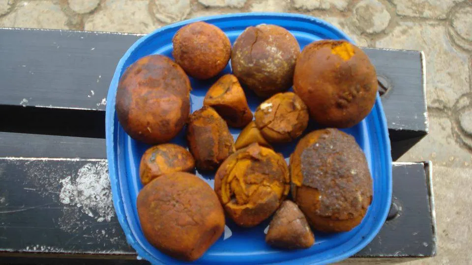 Ox Gallstones 13.jpg