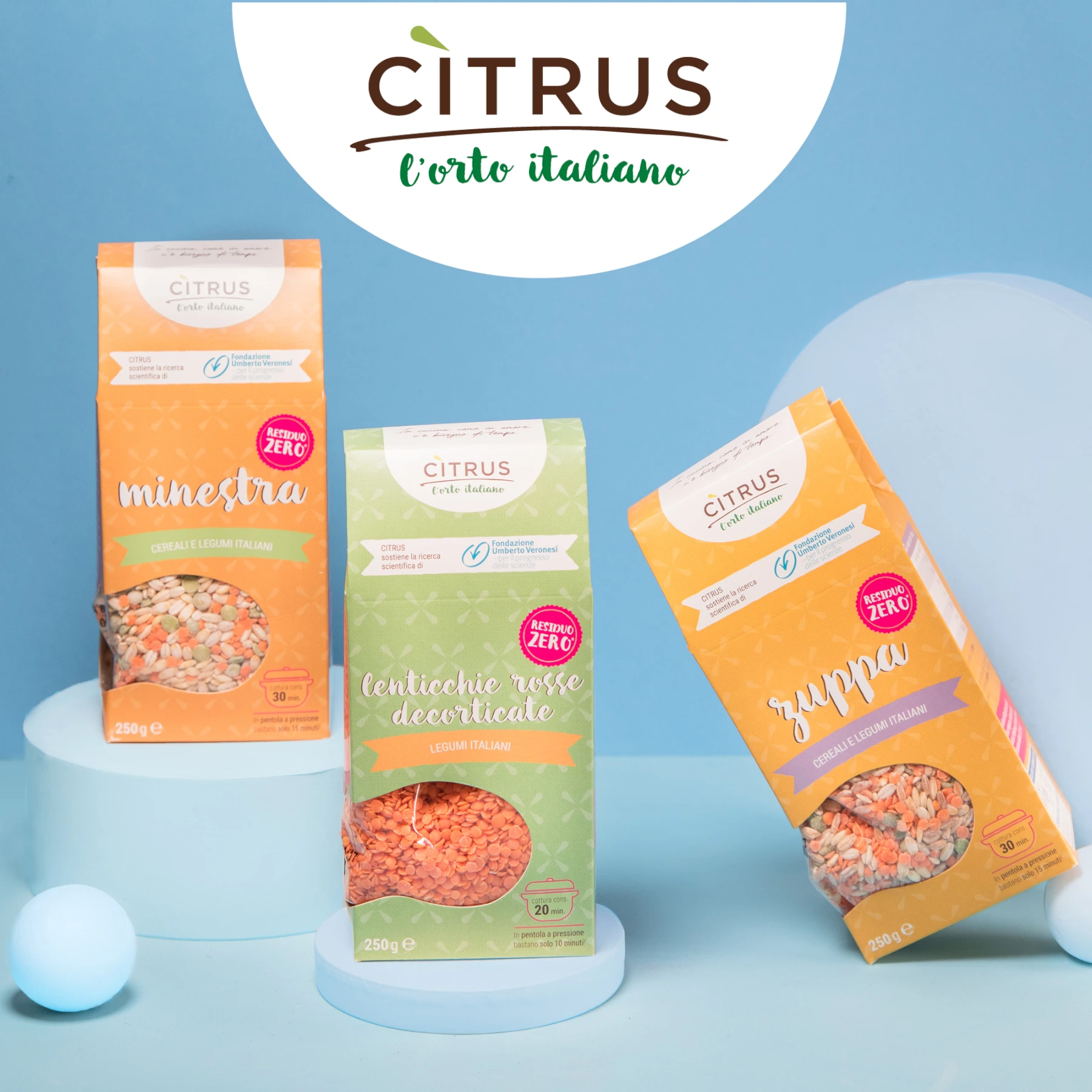 High quality Italian Barley Legumes soup organic Italian Food and Beverage seed supplier for Supermarkets