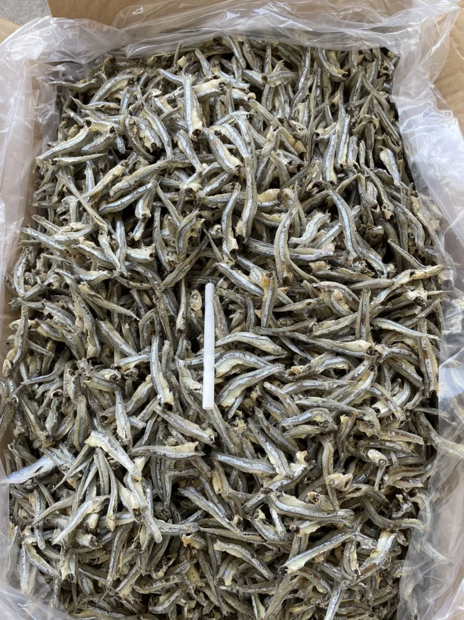 Dried Anchovy Premium from Viet Nam
