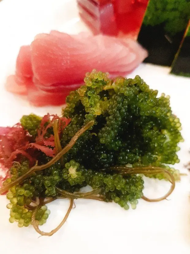  Оптовая продажа высококачественный свежий морской виноград/зеленый виноград/вьетнамский сухой виноград (Ms Деми + 84 961733400)