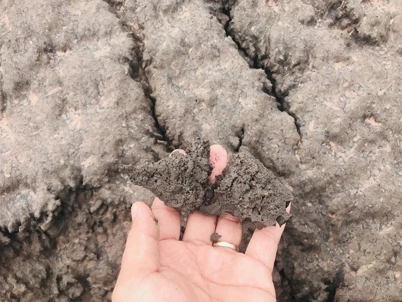 Blast furnace slag (GBFS) Cheap price High Quality made in Vietnam Direct from Manufacturer Low Tax Wholesale