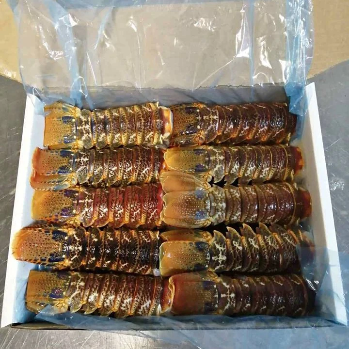 Живые Карибские блесны/морепродукты!
