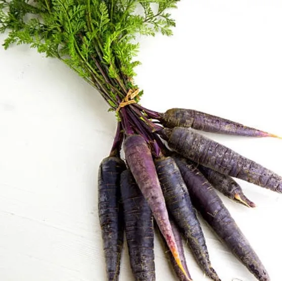 HIGH QUALITY Fresh Black Carrot  - TURKEY (Antalya) 2022