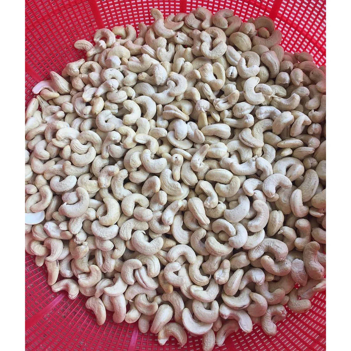 500 Gram Premium Cashew Nut Vietnam (With Skin Roasted Salted)