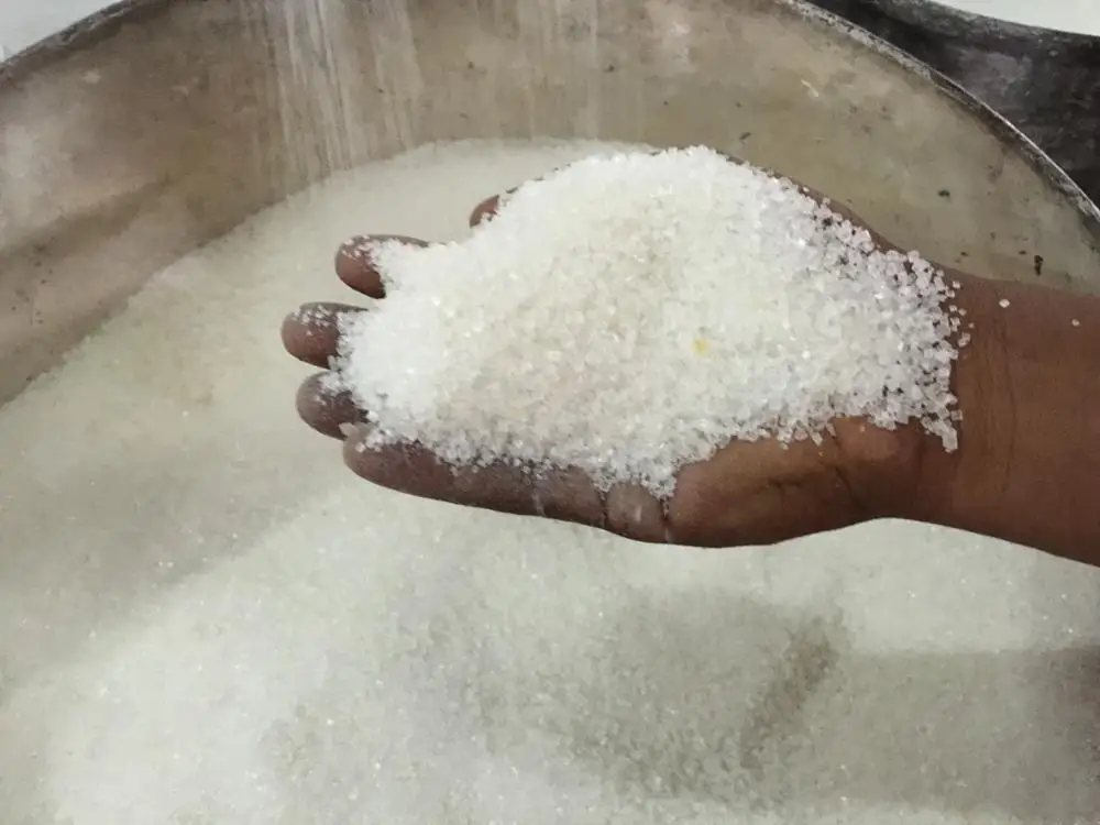 sugar (3).jpg