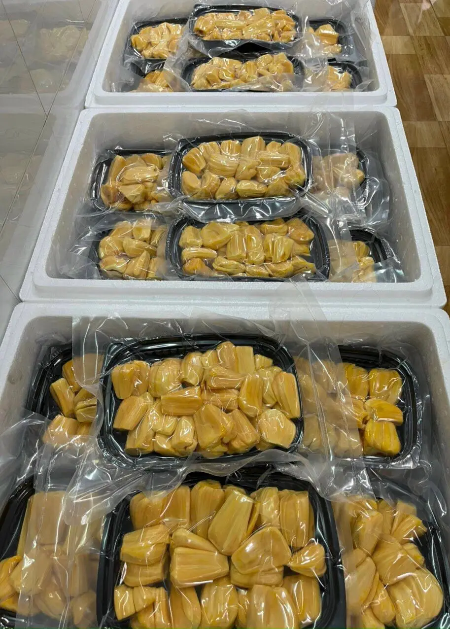 Vietnam jackfruit recent crop  for daily use Certified from Vietnam