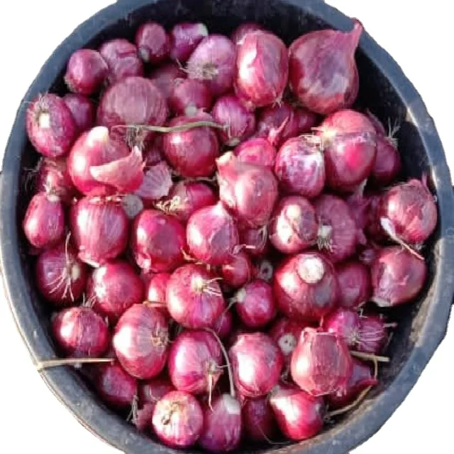 
Fresh Red Onions 
