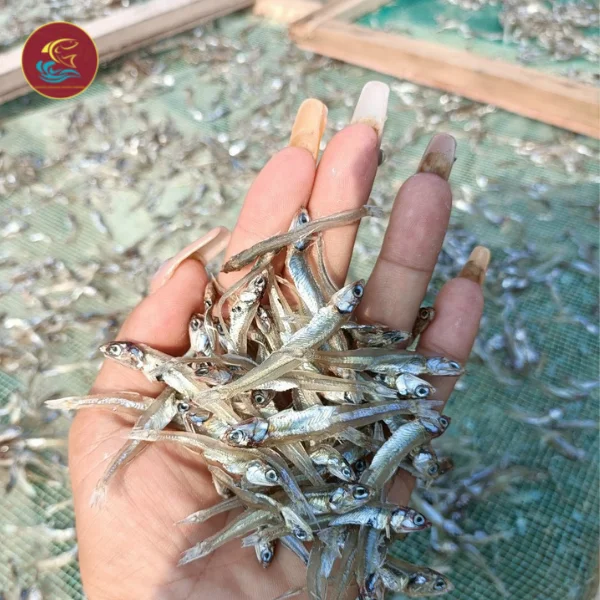 Low Price Wholesale Dried Salted Anchovy Fish With High Quality Made In Vietnam Accept LCL Shipping