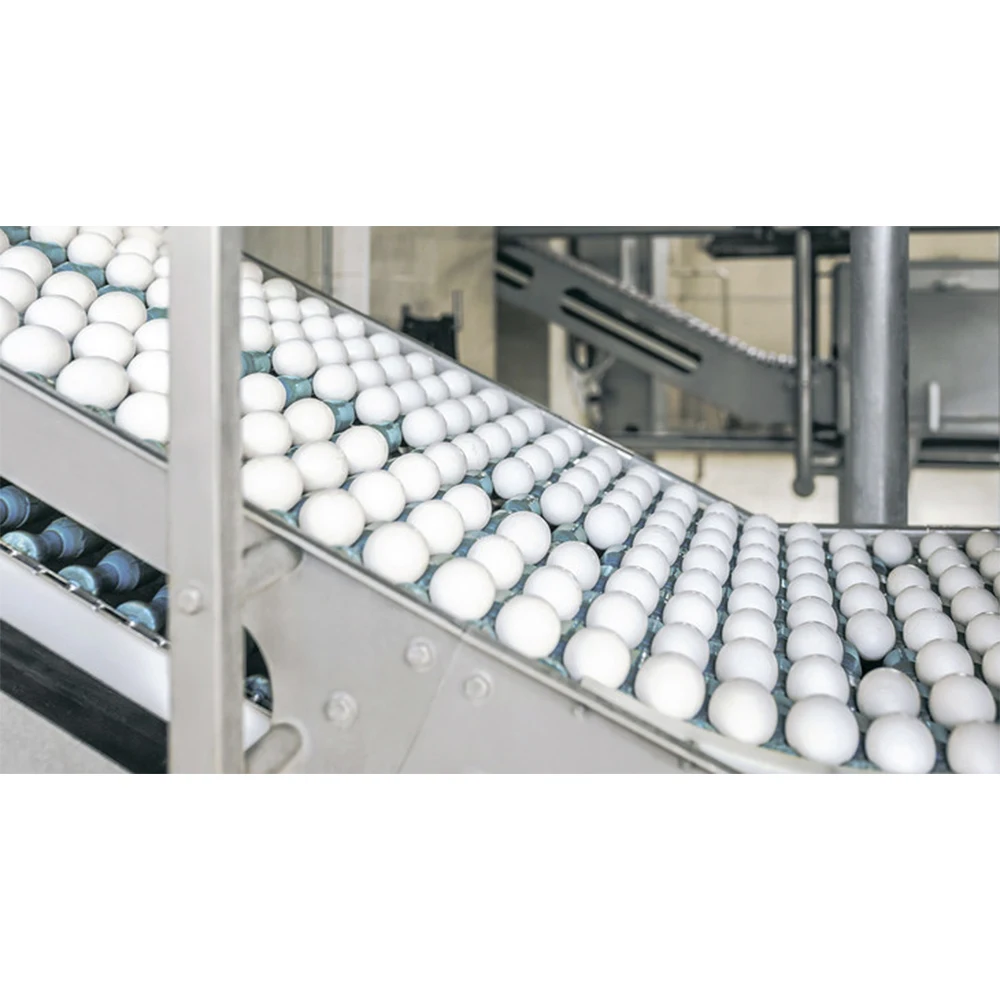 Халяльный Кошерный порошок яичного желтка из Украины