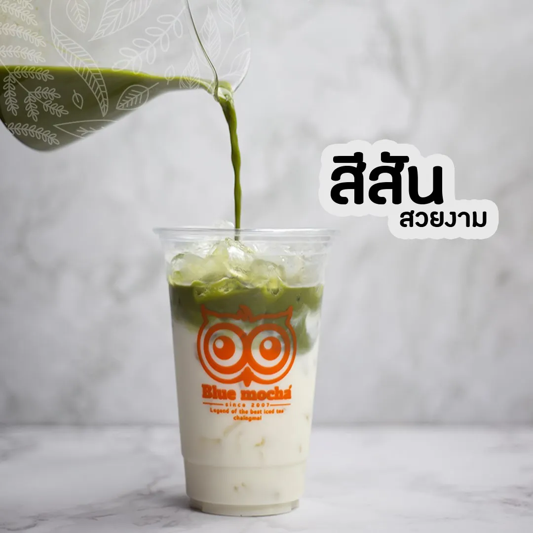 
Factory and Wholesale Green Tea Loose Tea Leaf Premium Green Tea OEM Thailand 