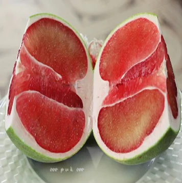 Свежий Pomelo TubTim Siam Премиум качество