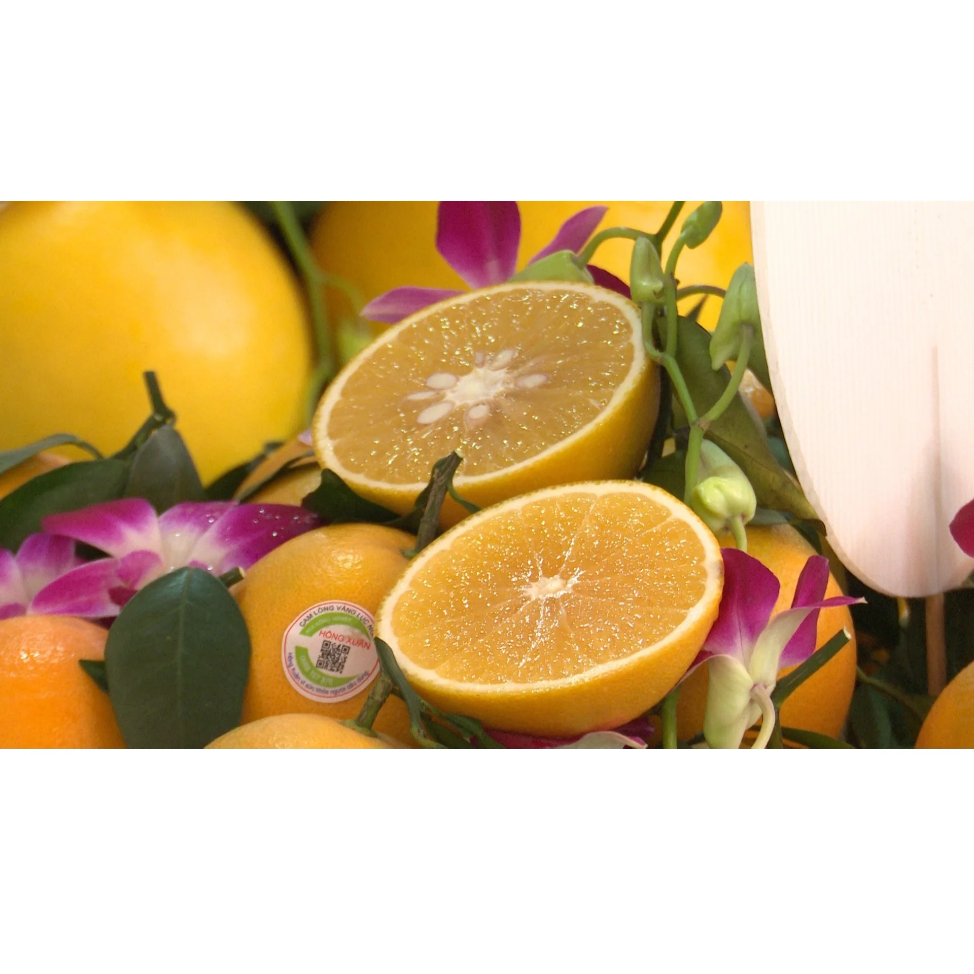 Специальная кухня класса А органический оранжевый с очень нежным приятным вкусом из Вьетнама