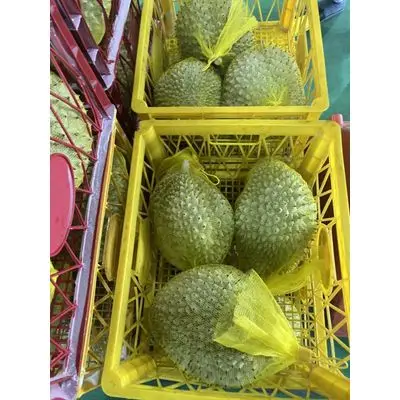 durians6.jpg