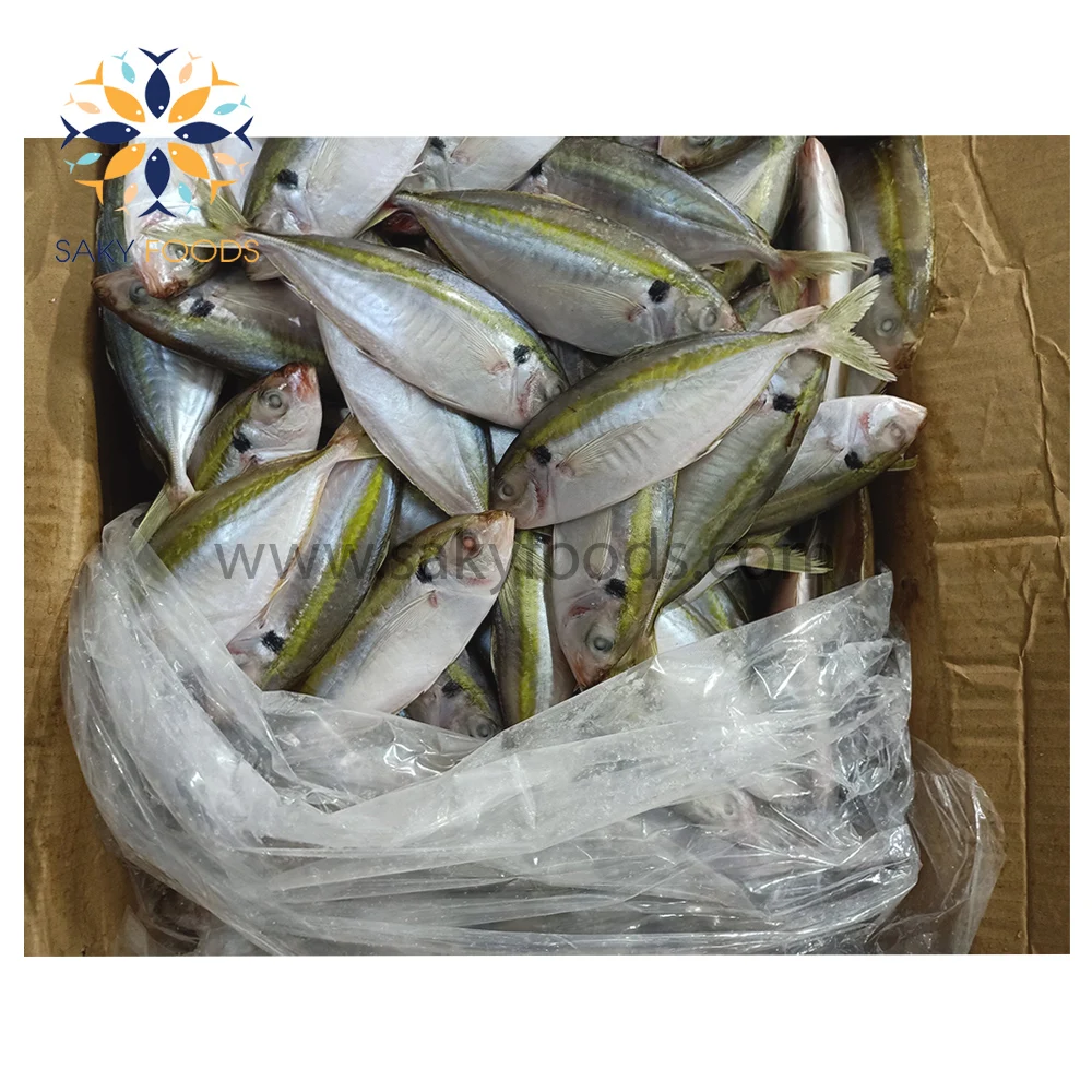 New Frozen Yellow Stripe Trevally Fish From Vietnam With Good Price