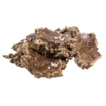 
High Quality Cottonseed Oil Cake / Cotton seed Meal for animal feed 