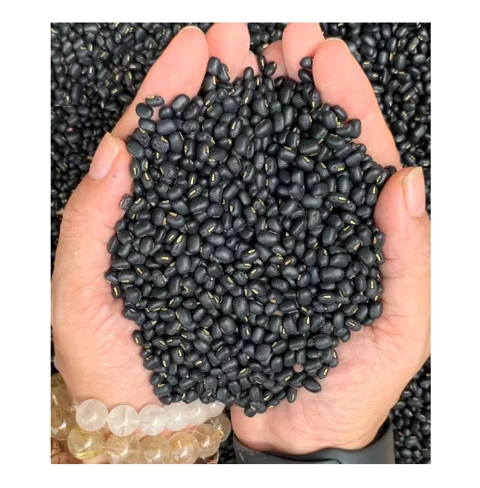 Вьетнам Orsafarm зеленые фасоли-небольшие 5 кг/упаковка 2021 высококачественные продукты органические маленькие черные фасоли